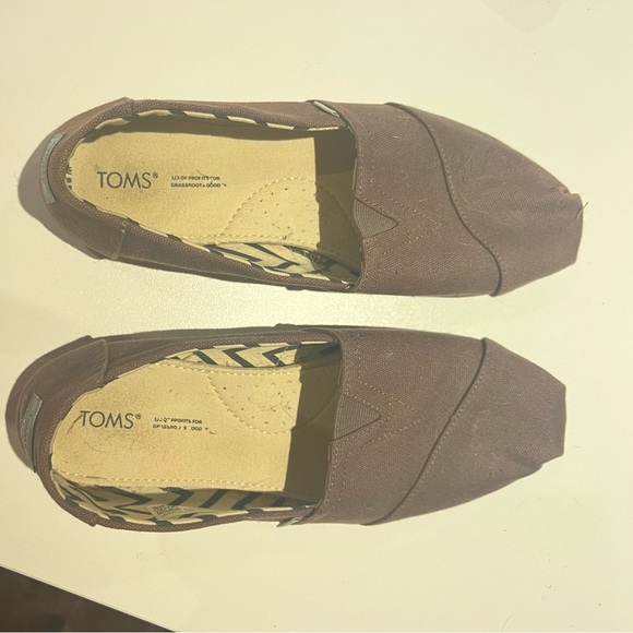 Grey Toms size 9.5 - Picture 3 of 3